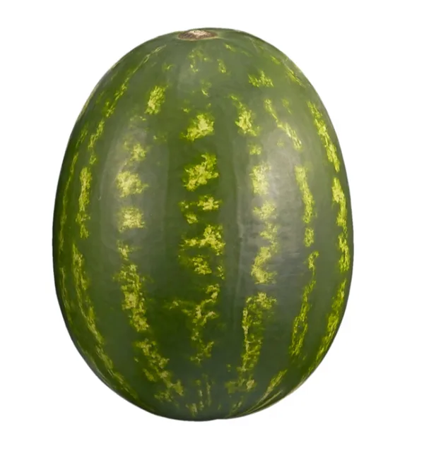 Melon d’Eau