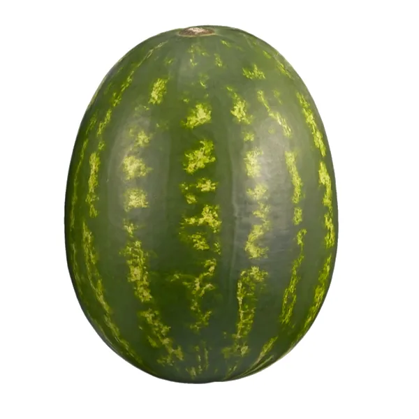 Melon d’Eau