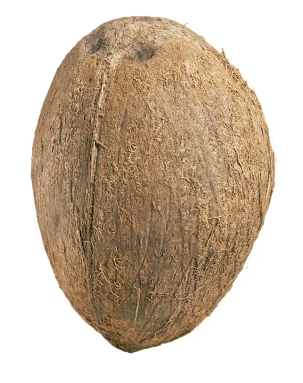Noix de Coco