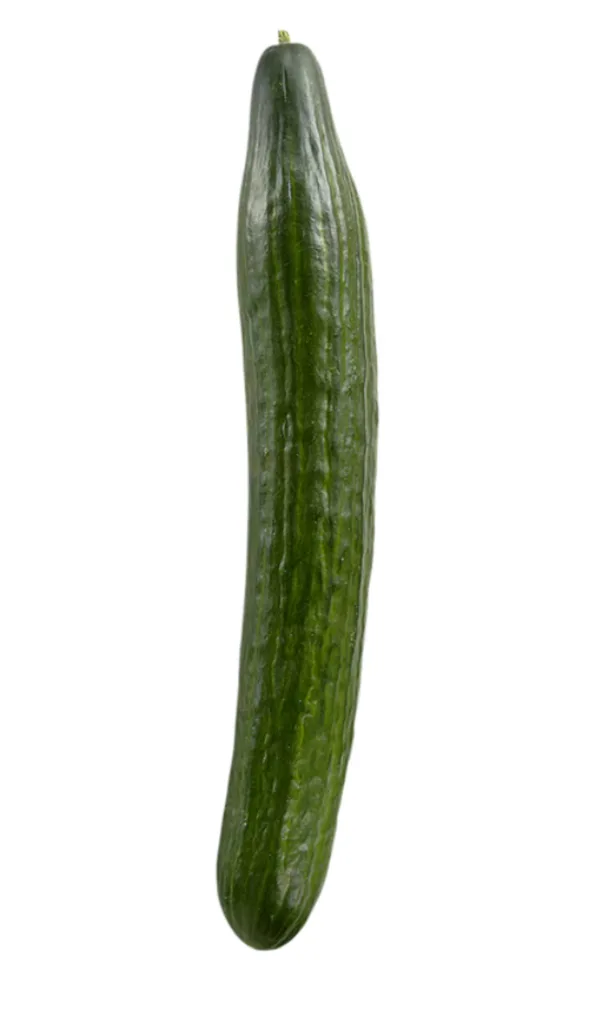Concombre