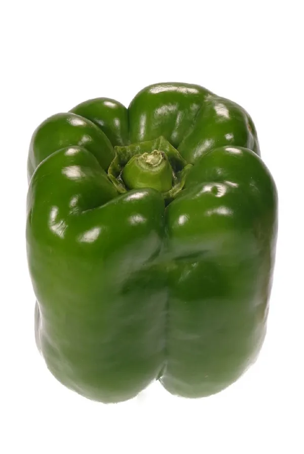 Poivron vert