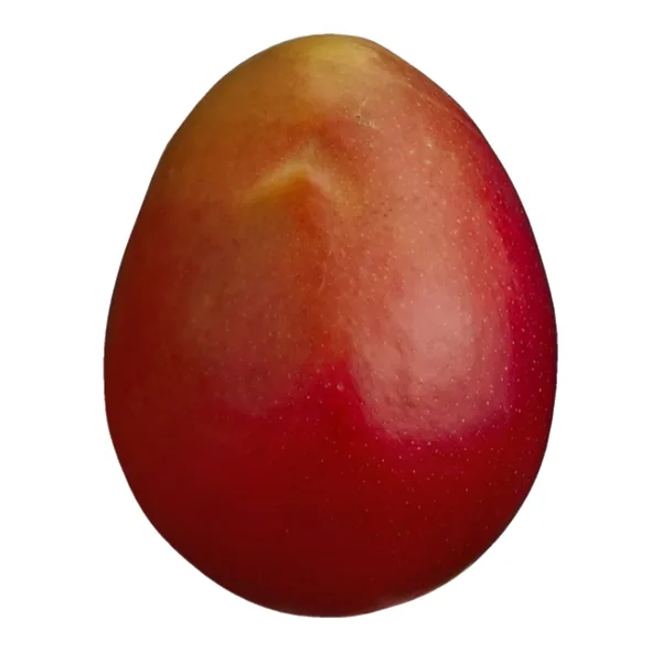 Mangue Rouge