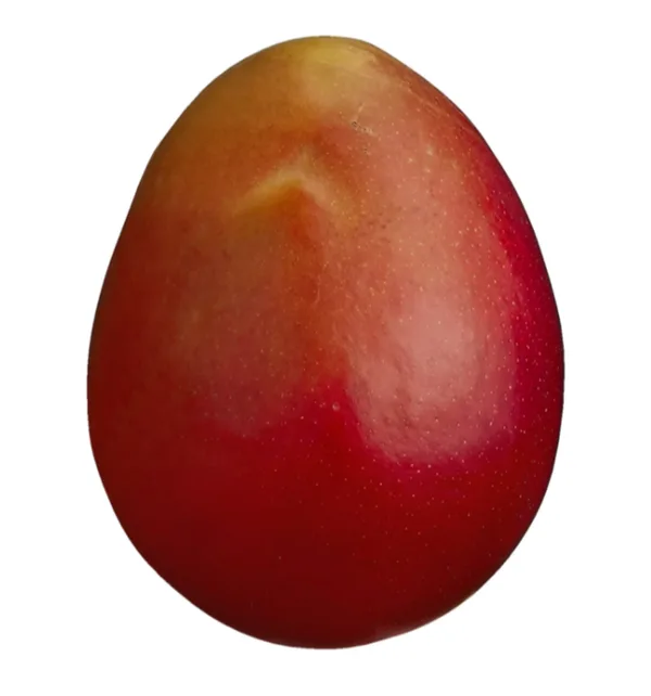 Mangue Rouge