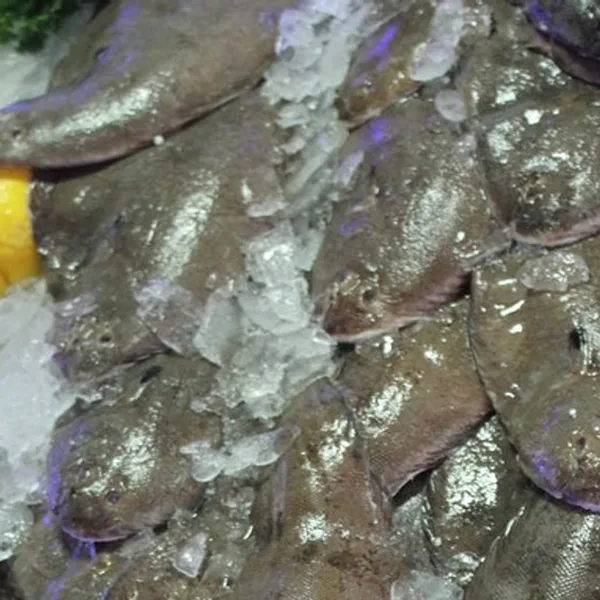 Sole — frais