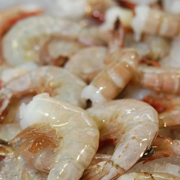 Crevettes — frais
