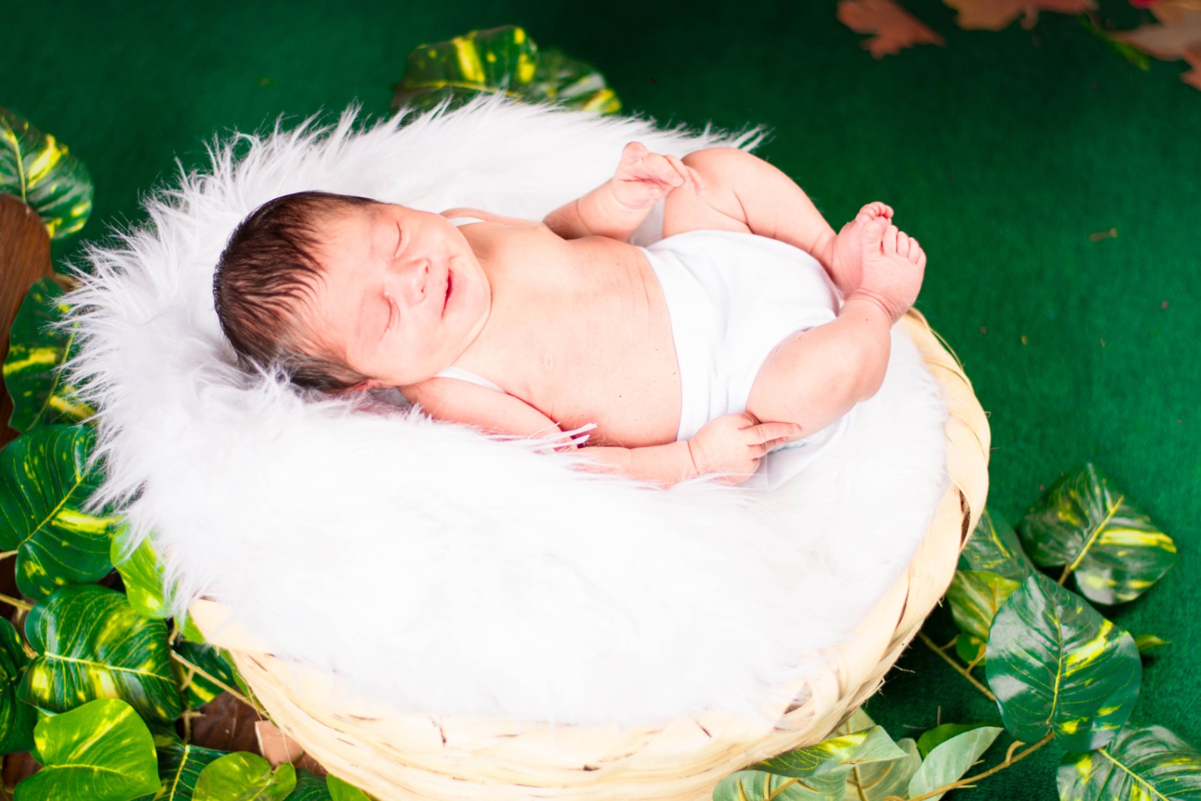 Birthday Kids - Foto del Catálogo - 1757907759159