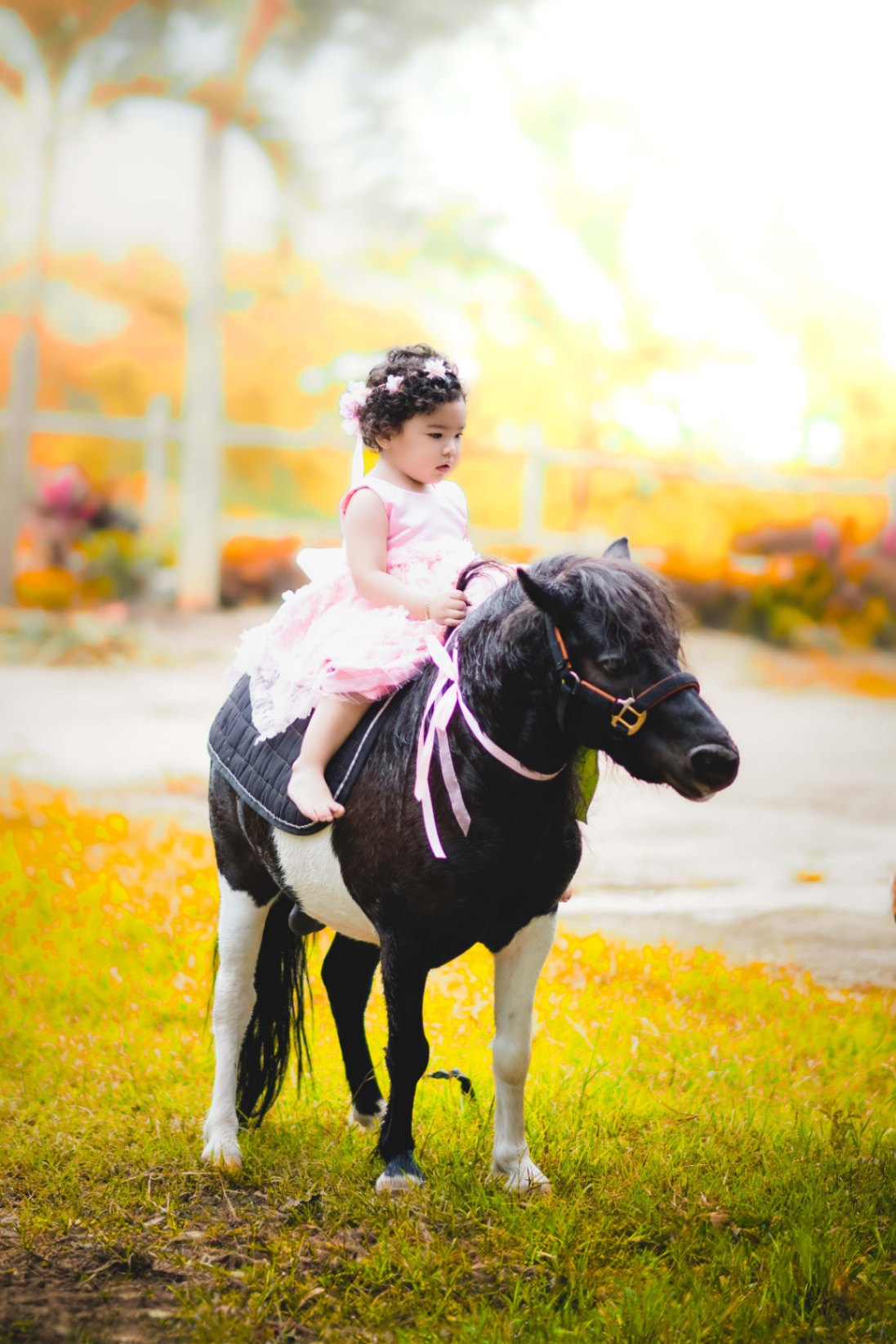 Exteriores - Foto del Catálogo - 1752129762303