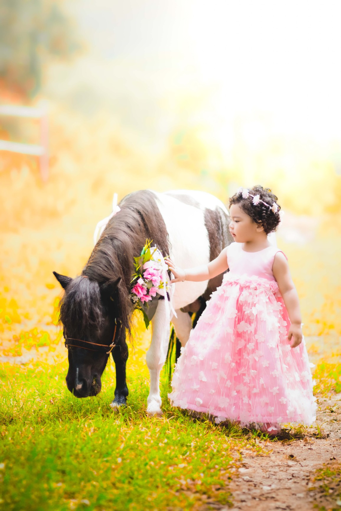 Exteriores - Foto del Catálogo - 1752129764434