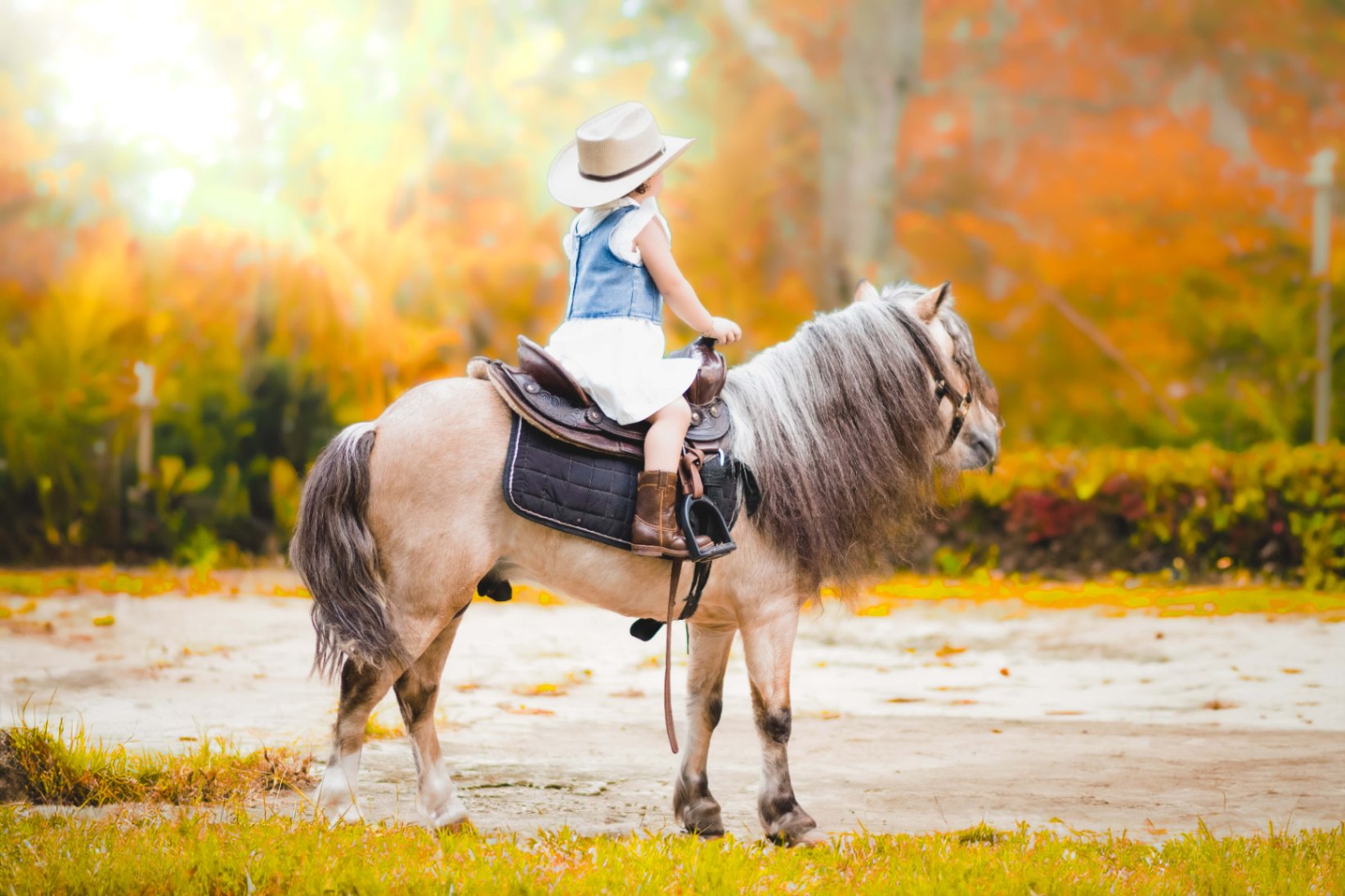 Exteriores - Foto del Catálogo - 1752129765723