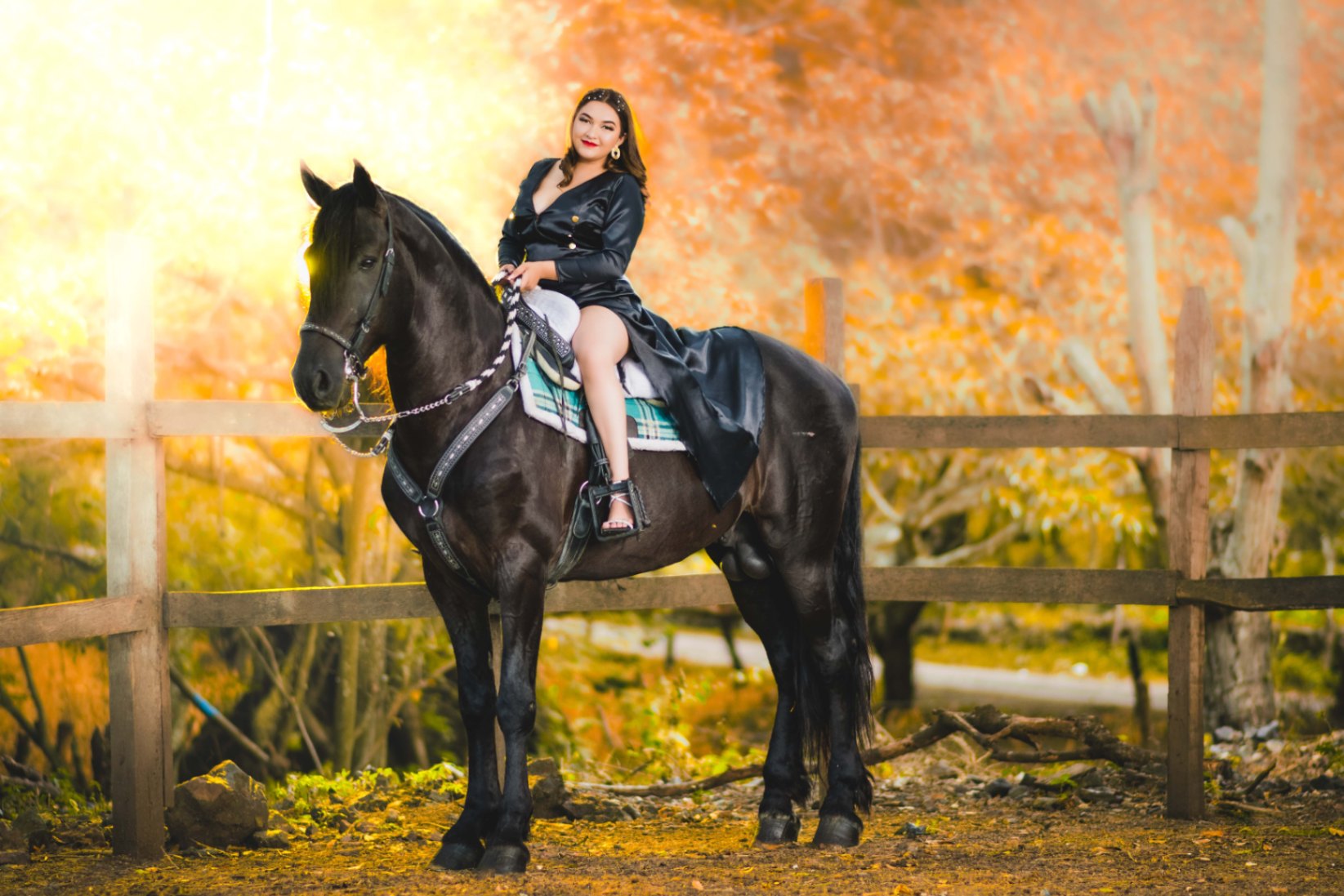 Exteriores - Foto del Catálogo - 1752129787010