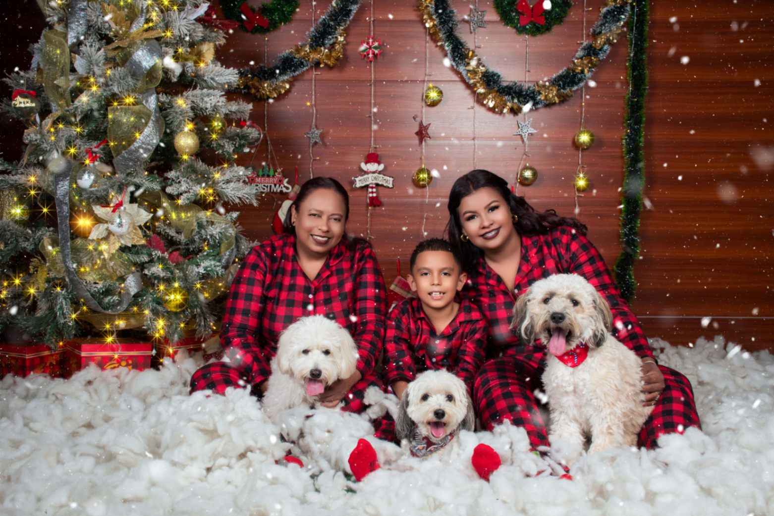 Navidad - Foto del Catálogo - 1752130721076
