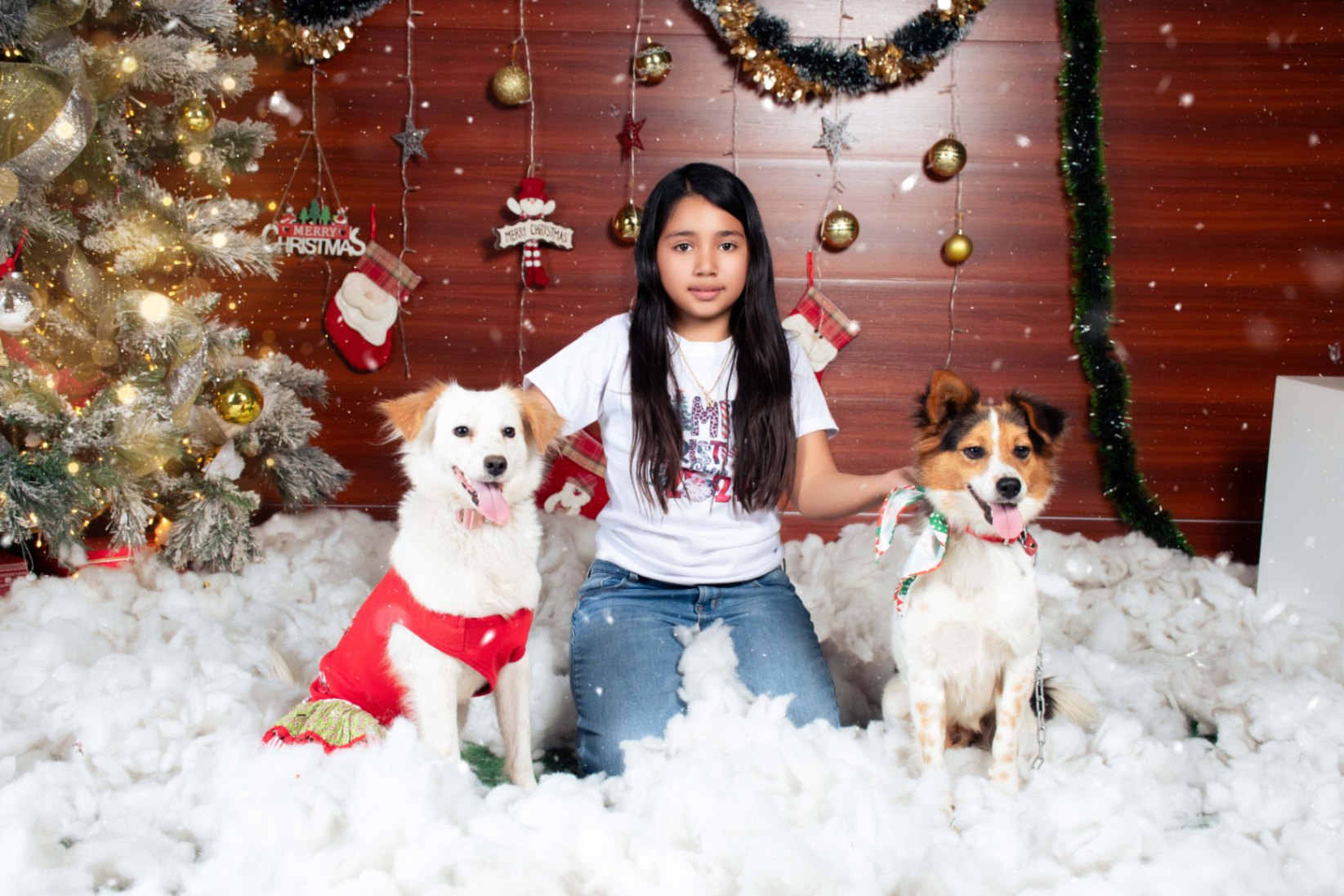 Navidad - Foto del Catálogo - 1752130796457