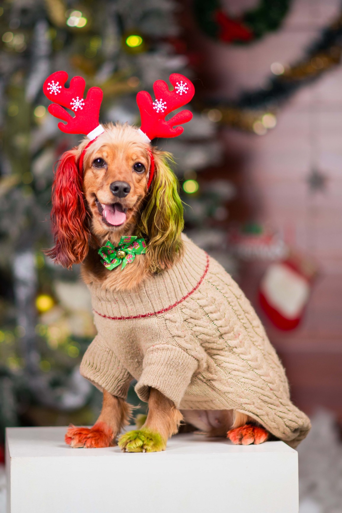 Navidad - Foto del Catálogo - 1752130809177