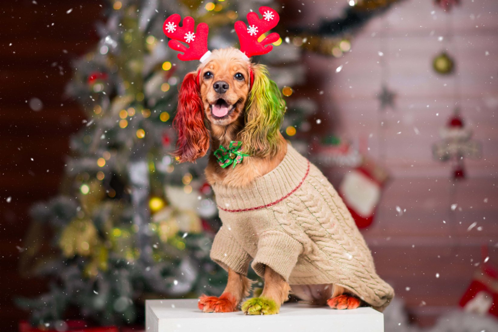 Navidad - Foto del Catálogo - 1752130810439