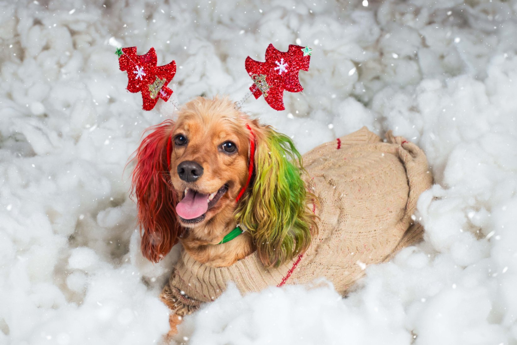 Navidad - Foto del Catálogo - 1752130811731