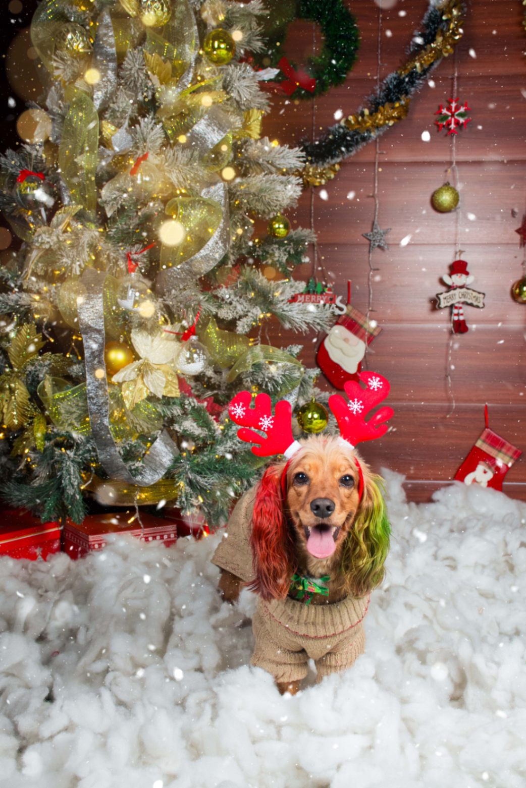 Navidad - Foto del Catálogo - 1752130815334