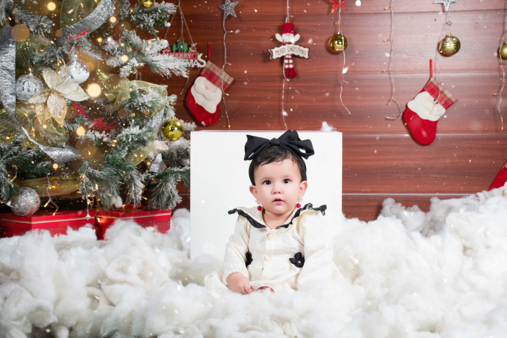 Navidad - Foto del Catálogo - 1752130825062