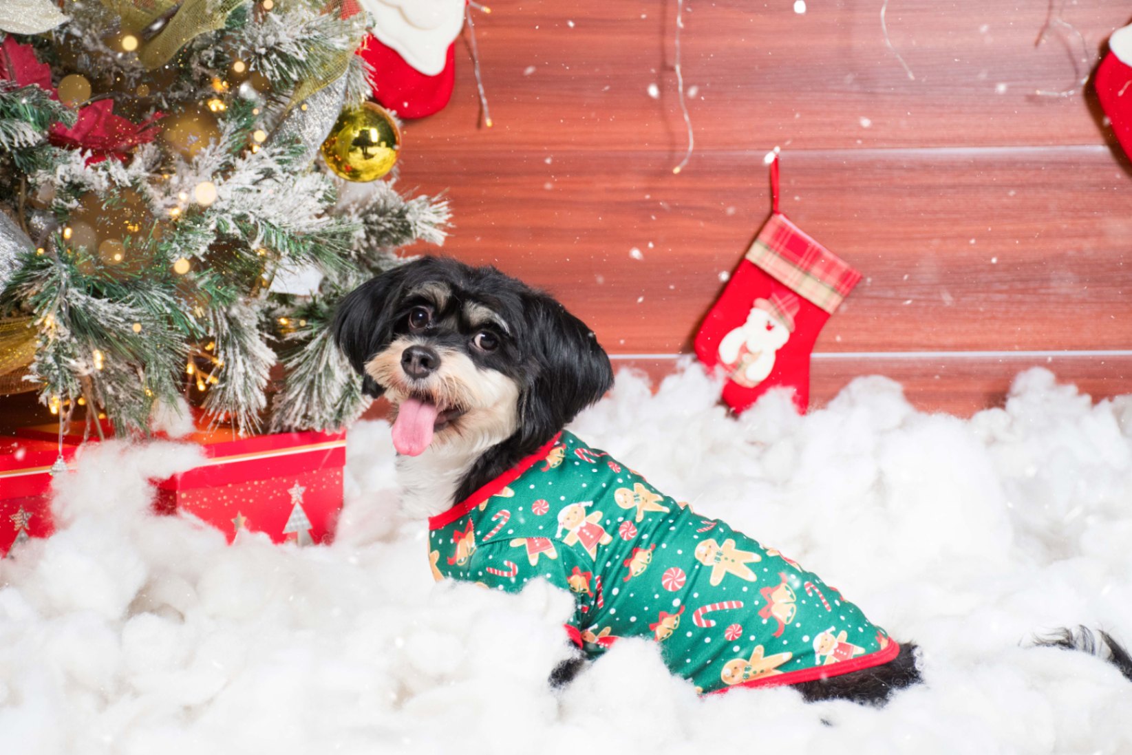 Navidad - Foto del Catálogo - 1752130850051