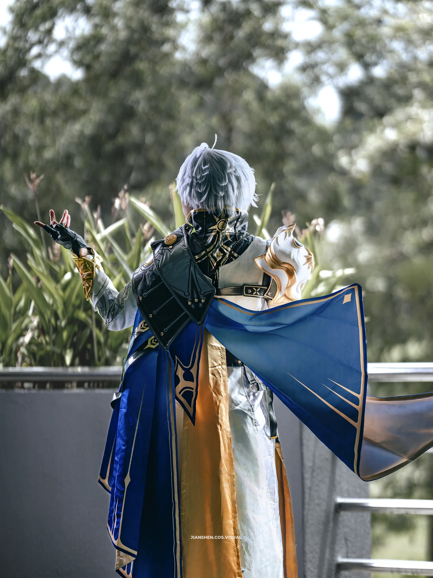 roku_cos