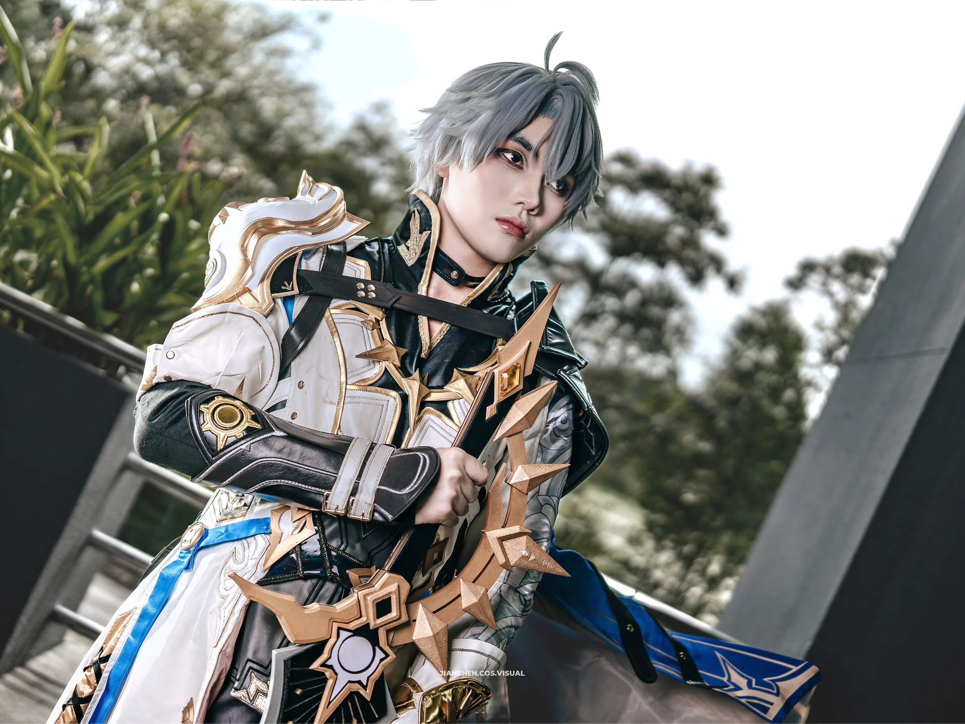 roku_cos