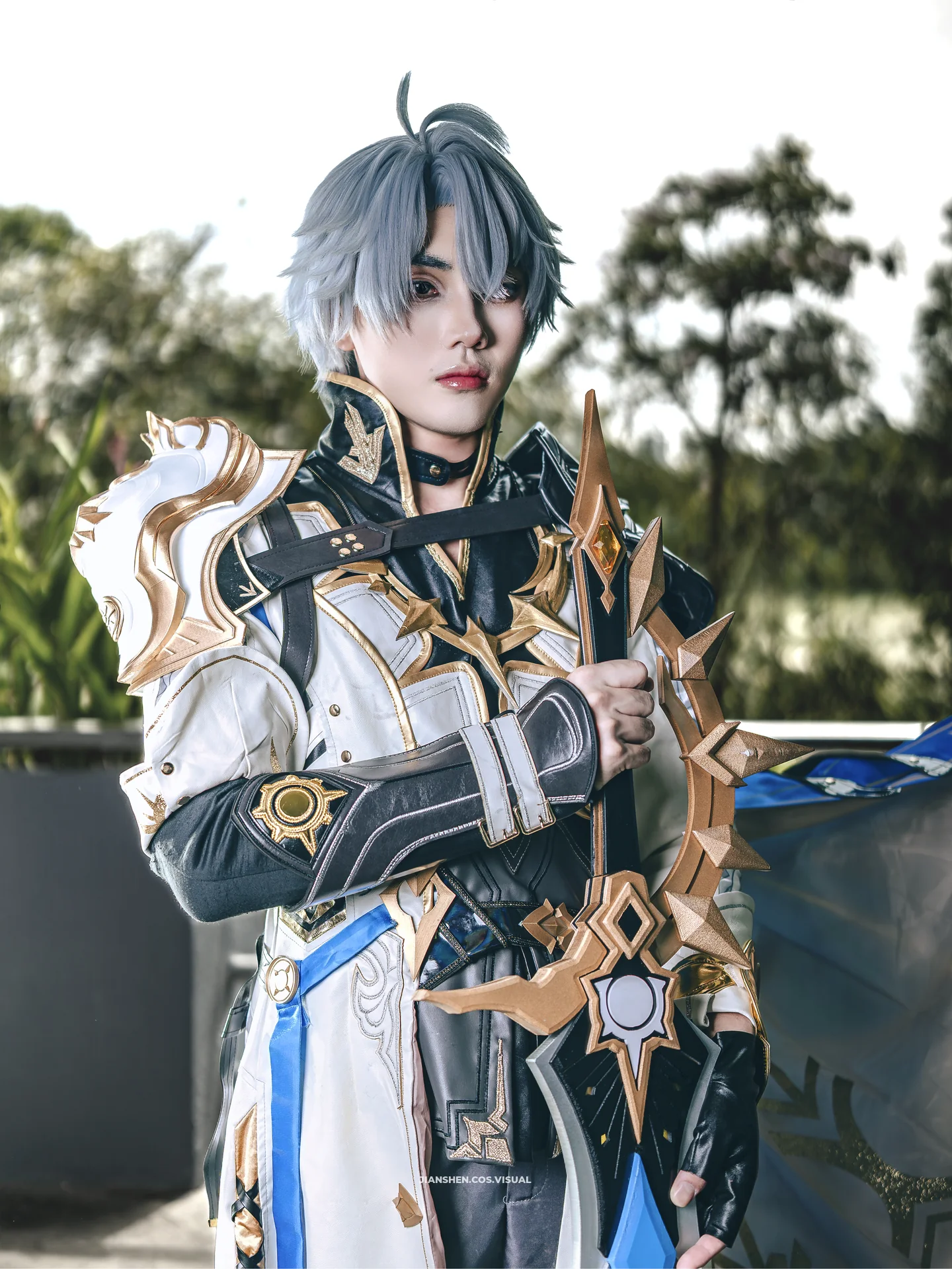 roku_cos