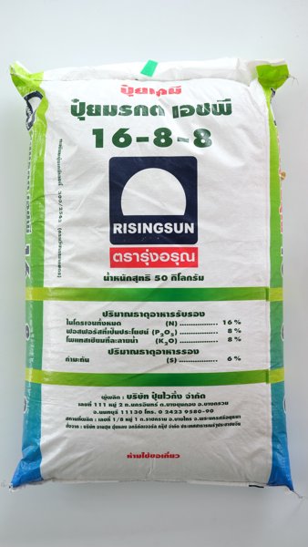 NK6248