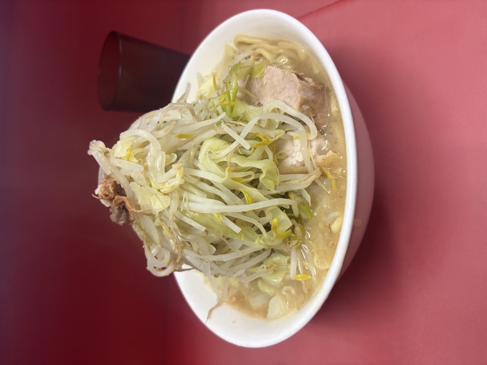 ラーメン二郎 ひばりヶ丘駅前店のジロ活写真 3