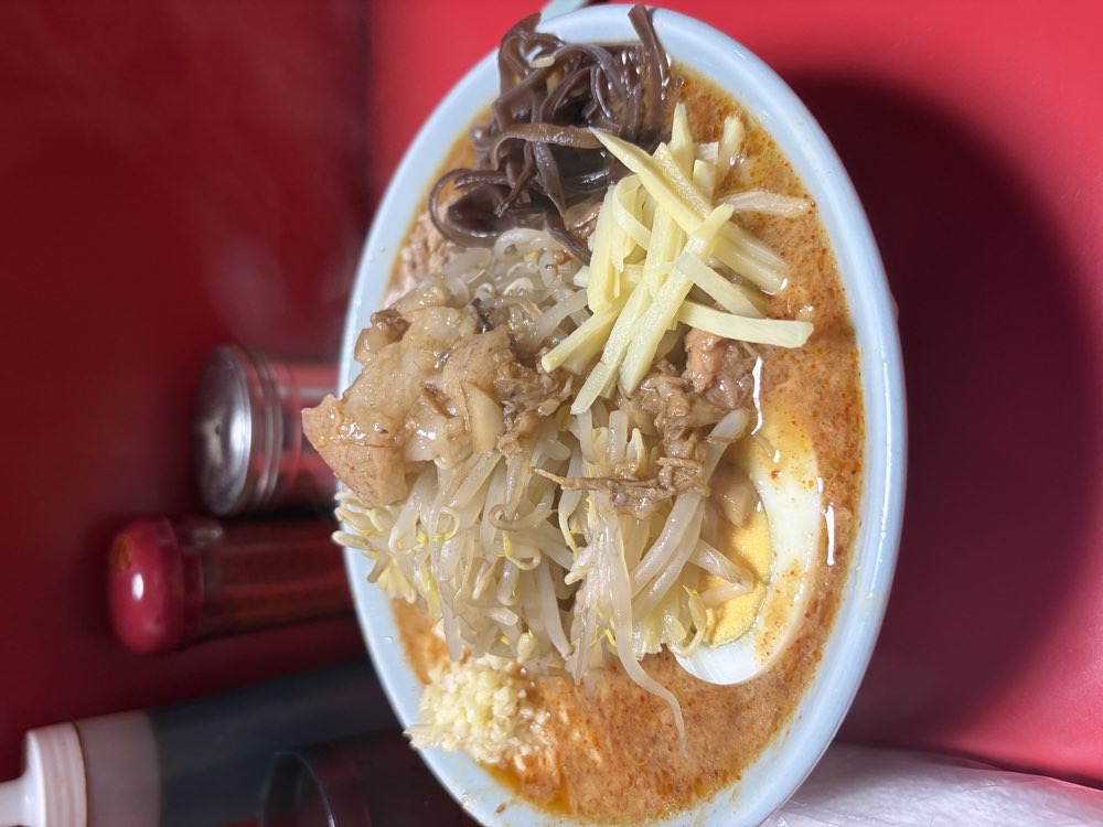 ラーメン富士丸 明治通り都電梶原店のジロ活写真 4