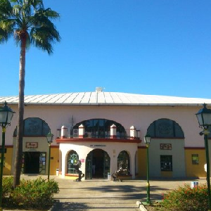 Escuela Arte Ecuestre Costa del Sol