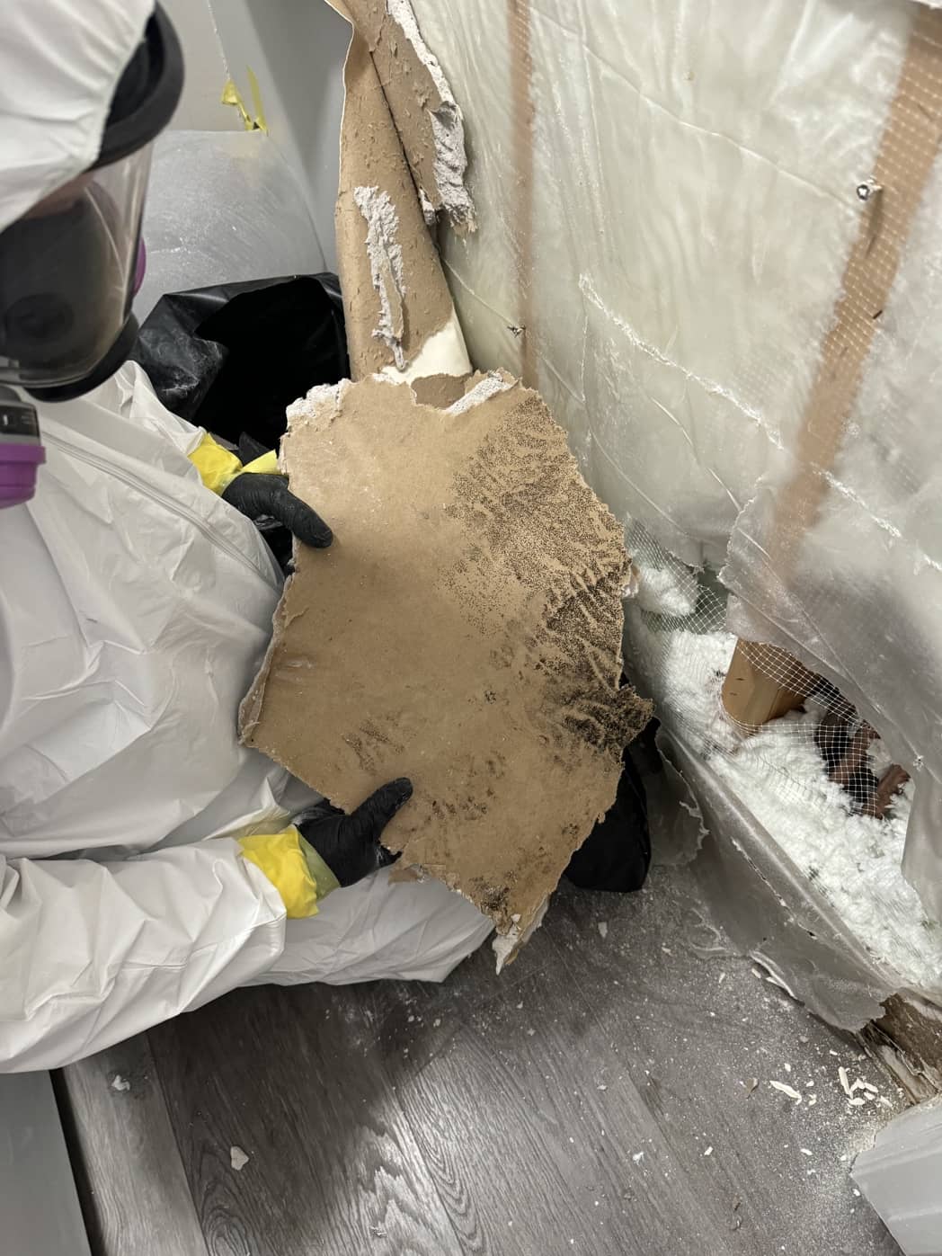 Elite Water Restoration photo 5 in Salt Lake City