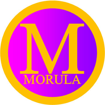 Morula tech Solutions