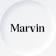 Marvin Behavioral Health
