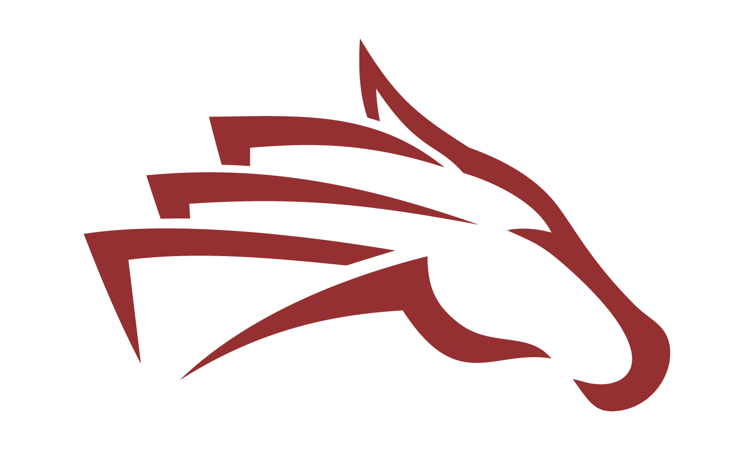 Razorhorse LLC