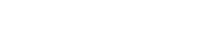 Incognia