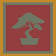 Bonsai Leadership Group