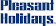 Pleasant Holidays, Pleasant Holidays LLC