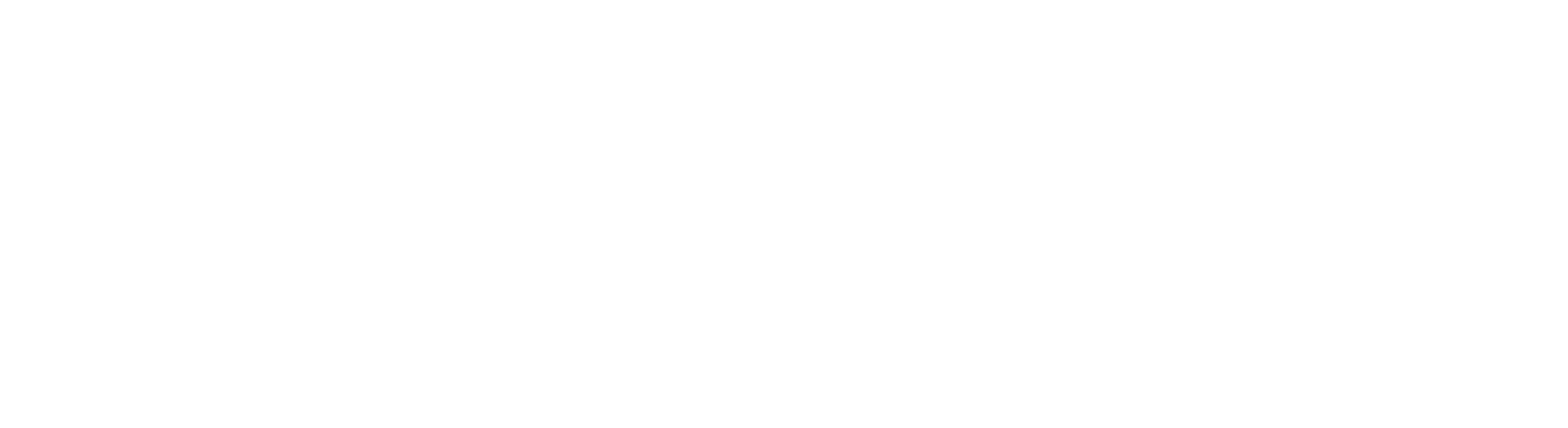 NATIONAL YOUTH ADVOCATE PROGRAM