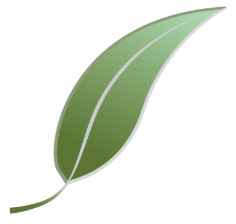 Smartleaf