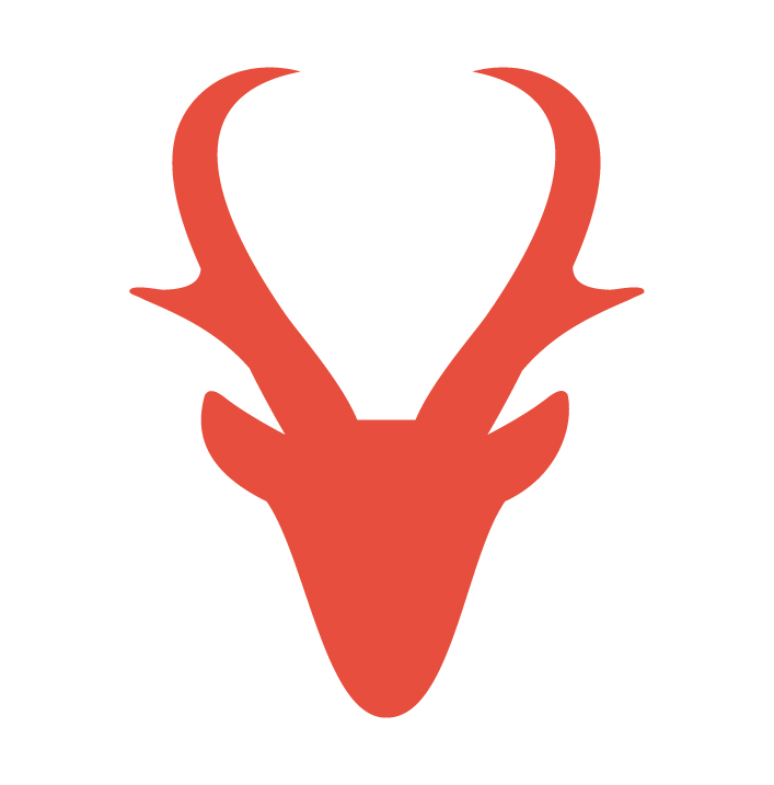 Pronghorn