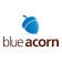 Blue Acorn iCi