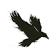 RavenTek