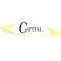 Capital Staffing Solutions