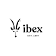 Ibex Outdoor Clothing