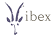 Ibex Outdoor Clothing