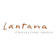Lantana Consulting Group