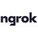 ngrok