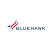 Bluehawk LLC, Intelligence Services