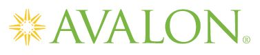 The Avalon Consulting Group Inc