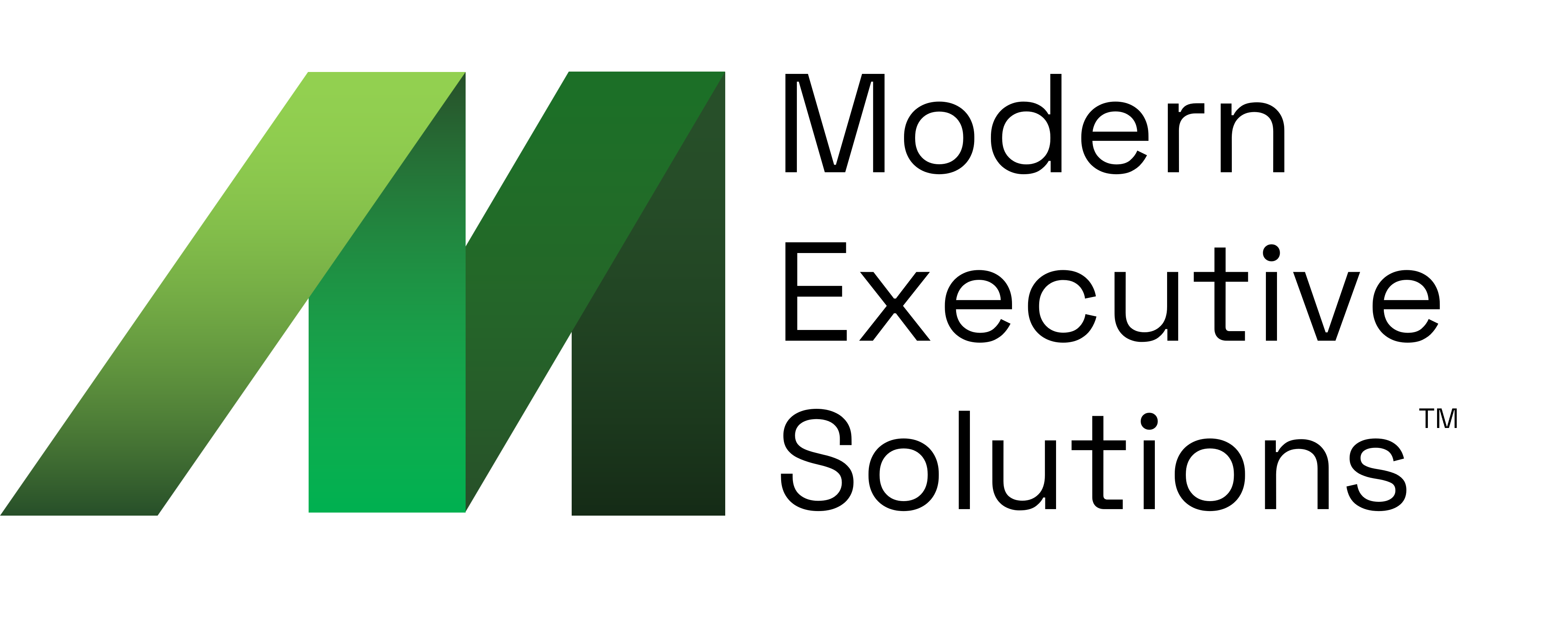 Modern Executive Solutions
