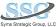 Syms Strategic Group, LLC (SSG)